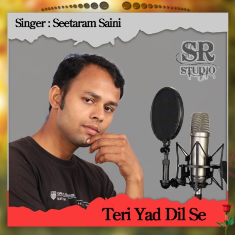 Teri Yad Dil Se | Boomplay Music