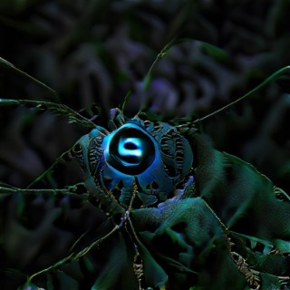 Enigma