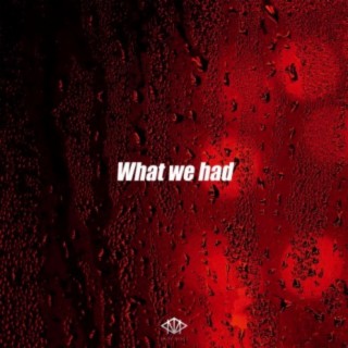 What we had (Instrumental)