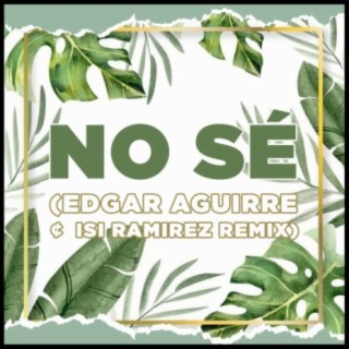 No sé (Home Remix)