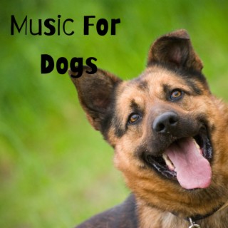 Music For Dogs