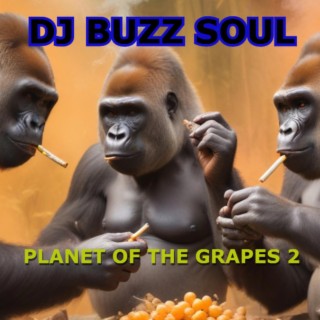 PLANET OF THE GRAPES TWO