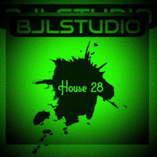 House 28