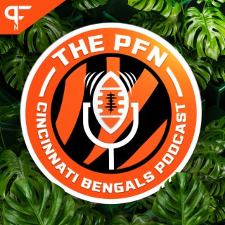 Joe Burrow and the Bengals Are Officially Back