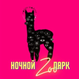 Ночной зоопарк