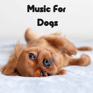 Music For Dogs