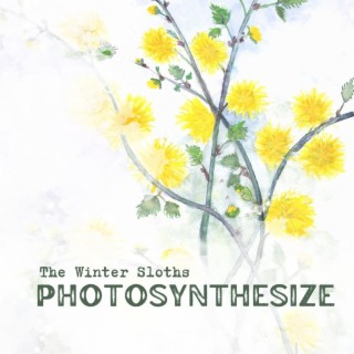 Photosynthesize lyrics | Boomplay Music