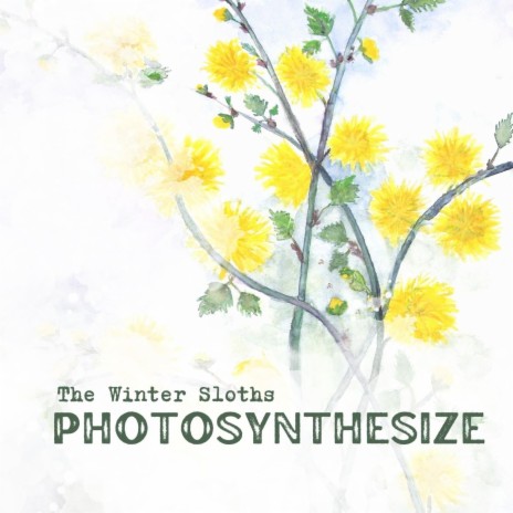 Photosynthesize | Boomplay Music