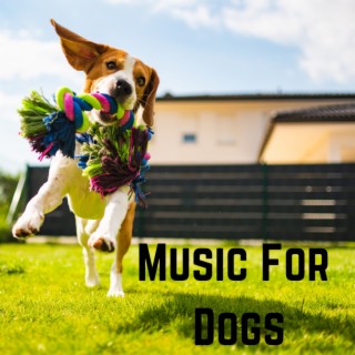 Music For Dogs