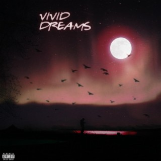 Vivid Dreams