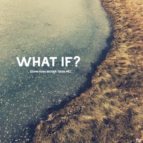 What If? (Something Bigger Than Me) | Boomplay Music