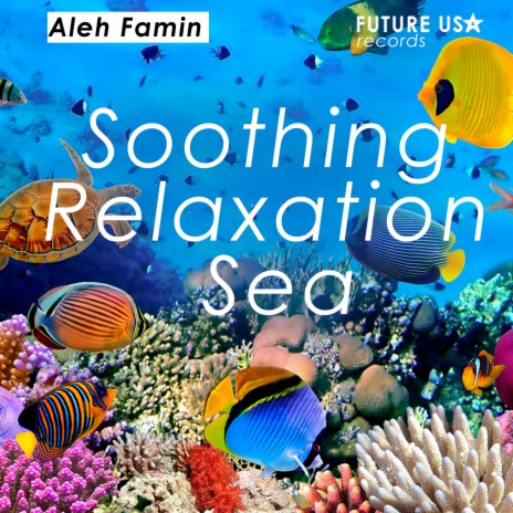 Soothing Relaxation Sea