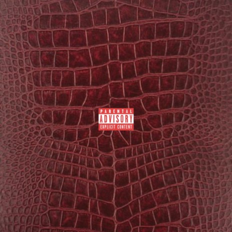 Crocodile skin | Boomplay Music