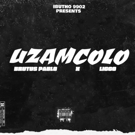 Zamcolo | Boomplay Music
