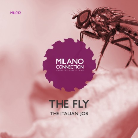 The Fly (Original Mix) | Boomplay Music