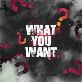 What You Want (Radio Edit)