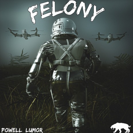 FELONY | Boomplay Music