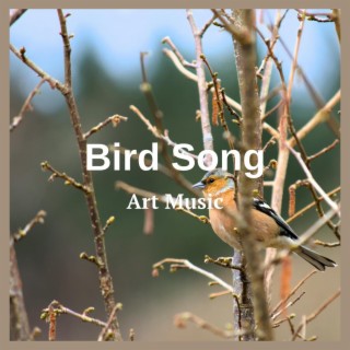 Bird Song