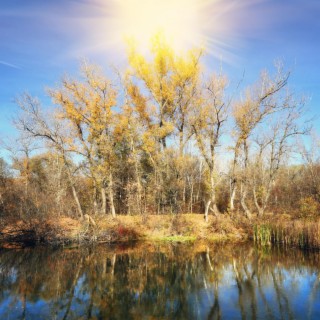 Macanan Mangrove