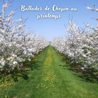 Ballades de Chopin au printemps (Classic Meditation Music, Deep Concentration Music, Study Music)