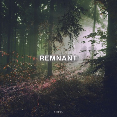 Remnant ft. Laykne | Boomplay Music