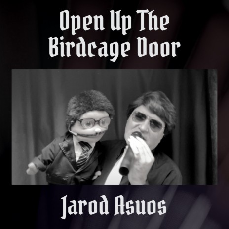 Open up the Birdcage Door | Boomplay Music