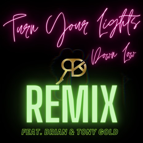 Turn Your Lights Down Low Remix ft. Brian & Tony Gold | Boomplay Music