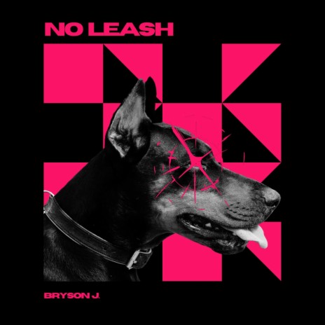 NO LEASH | Boomplay Music