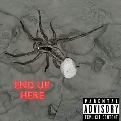 END UP HERE | Boomplay Music
