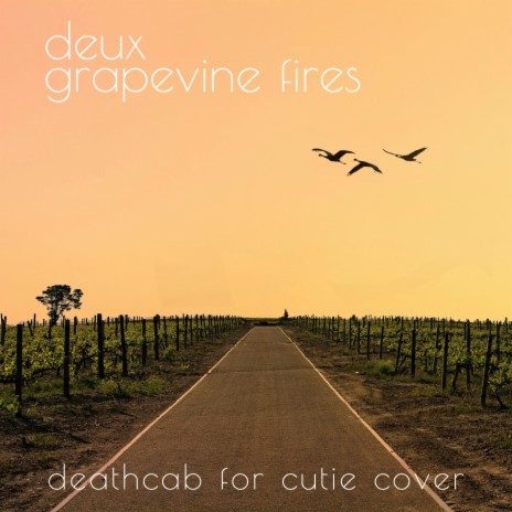 Grapevine Fires | Boomplay Music