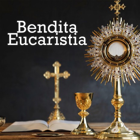 Me Basta Tu Gracia ft. Cantos catolicos & Ministerio Nuestra Señora De La Merced | Boomplay Music