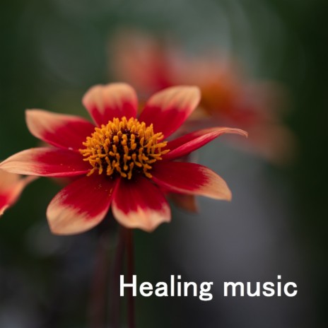 Stress relief ft. Meditation Music, Zen Meditation & Music for yoga
