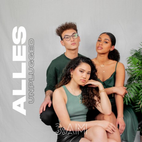 Alles (Unplugged) | Boomplay Music