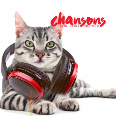 Musique apaisante pour animaux stressés | Boomplay Music
