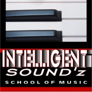 INTELLIGENT SOUNDZ School of Music Instrumentals