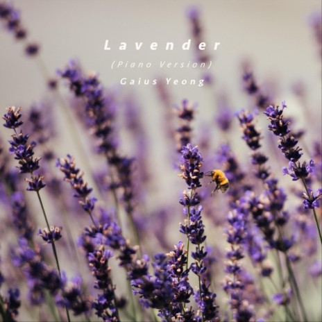 Lavender (Piano Version) | Boomplay Music