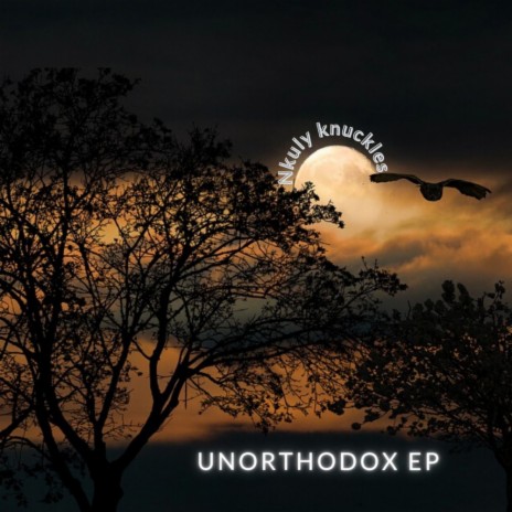 Unorthodox Views (Original Mix)
