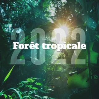 Forêt tropicale 2022 – Zen musique de relaxation profonde pour détente, Méditation, Spa, Yoga, Bien-être et Sommeil, Dormir bien