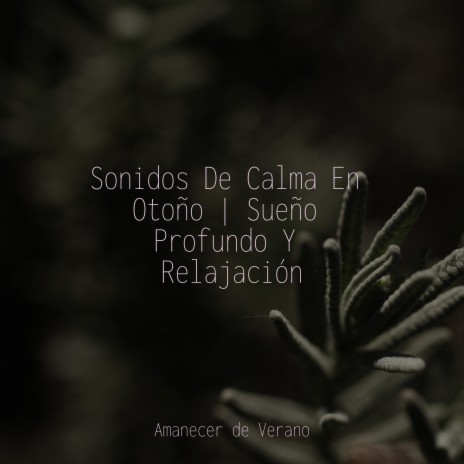 Recuerdos Celestes ft. Meditación & Musica relajante con sonidos de la naturaleza | Boomplay Music