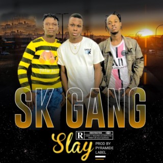 SK Gang