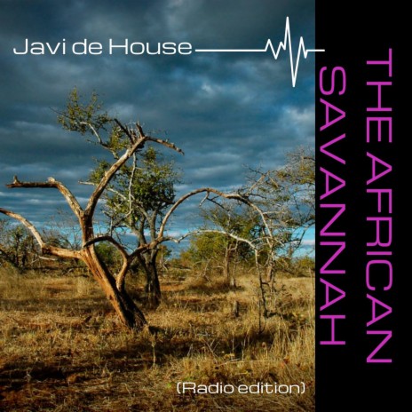 The African Savannah (Radio Edition) | Boomplay Music