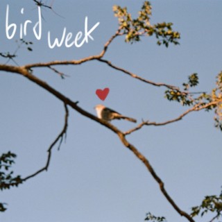 Bird Week