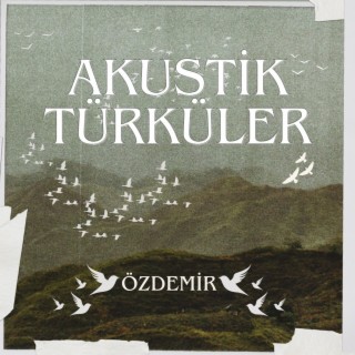 Akustik Türküler