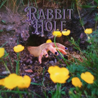 Rabbit Hole