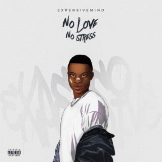 NO LOVE NO STRESS lyrics | Boomplay Music