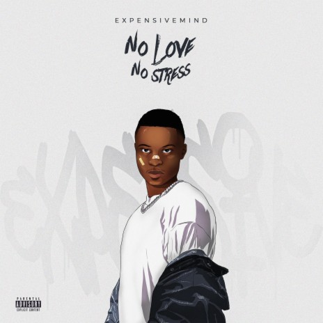 NO LOVE NO STRESS | Boomplay Music