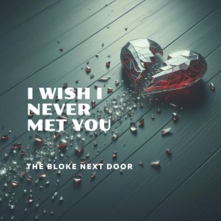 I Wish I Never Met You