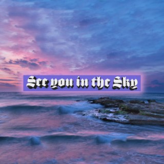 See you in the Sky lyrics | Boomplay Music