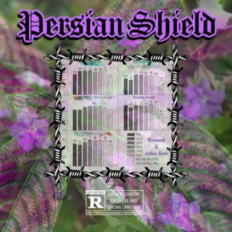 Persian Shield (feat. Knomad) | Boomplay Music