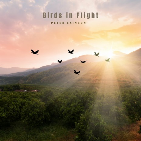 Birds in Flight | Boomplay Music